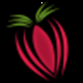 Strawberry文件管理工具 v1.0.1 官方版
