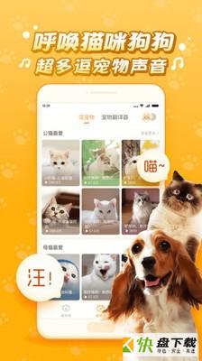 逗猫咪app