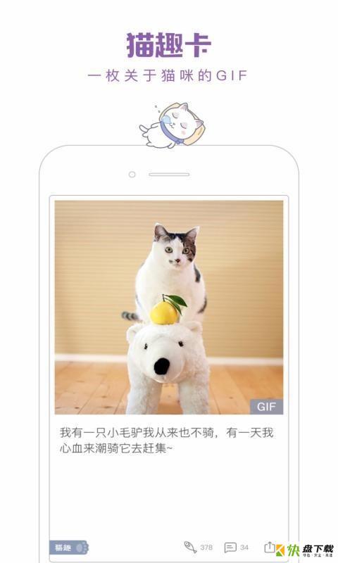 一日猫app