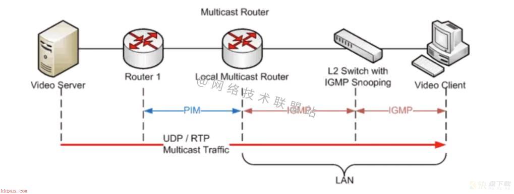 什么是IGMP？IGMP与ICMP有啥区别？