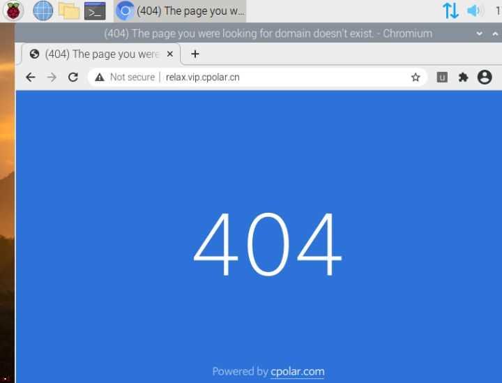 使用cpolar内网穿透发布树莓派网页：配置固定二级子域名-3/4